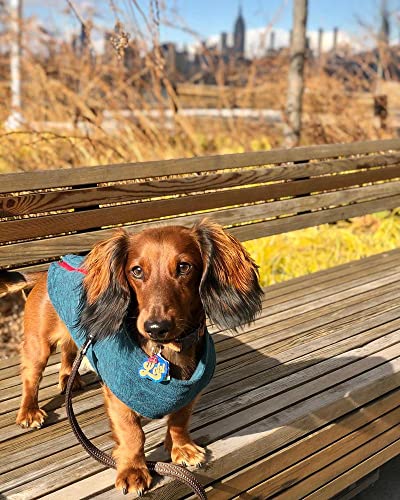 Gooby Zip-Up Fleece Dog Sweater, Turquoise Wash, Small - color: Turquoise Wash, size: Small chest (~13.5")