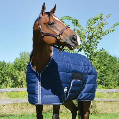 Country Pride Squall Heavyweight Bellyband Stable Blanket, 1200D Ripstop Horse Blanket, 300g High-Loft Insulation, Closed Front, Adjustable Elastic Leg Straps, Tail Cover, Indoor Winter Use Navy (90) - size: 90
