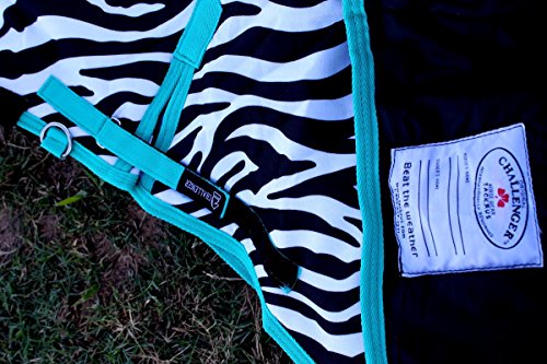 82" 1200D Turnout Waterproof Horse Tough WINTER BLANKET HEAVY Teal 547G