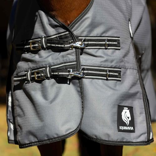 Equinavia Arktis Regular Neck Turnout Sheet - Carbon Gray - 75 in - color: Carbon Gray, size: 75 in