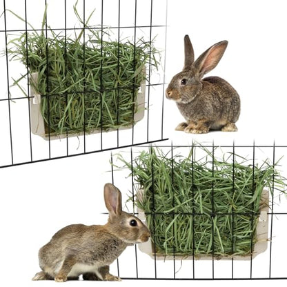 Hypeety Rabbit Hay Feeder Automatic Hay Rack for Guinea Pigs, White, 2pcs - color: White, size: 2pcs