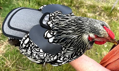 DOWN UNDER OUTDOORS Medium-Large Chicken Saddle Hen Apron Saver (Gray Mesh) - color: Grey Mesh