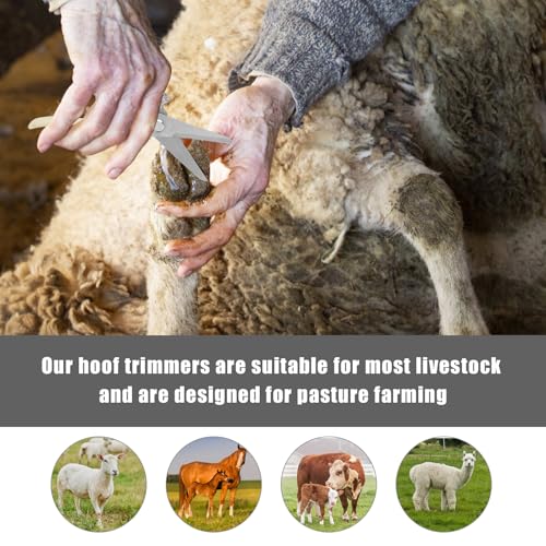 PEUTIER Goat Hoof Trimmers, Stainless Steel Hoof Trimming Tool with Spring Hooves Shears Sheep Nail Clippers for Pig, Horse, Livestock