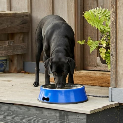 Farm Innovators Heated Pet Water Bowl, 40W Heated Water Dish - 3 Quart Stainless Steel Watering Station with Anti-Chew Cord Protector for Dogs & Cats | Thermostatically controlled to operate only when necessary, non-skid/non-tip rubber bottom, anti-chew c