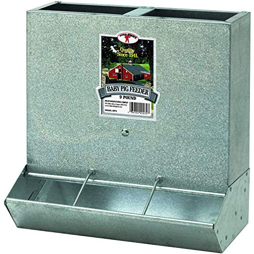 Little Giant BPF3 Heavy Duty Mountable 3 Hole Baby Piglet Livestock Trough Feeder, 9 Pound Capacity (4 Pack)