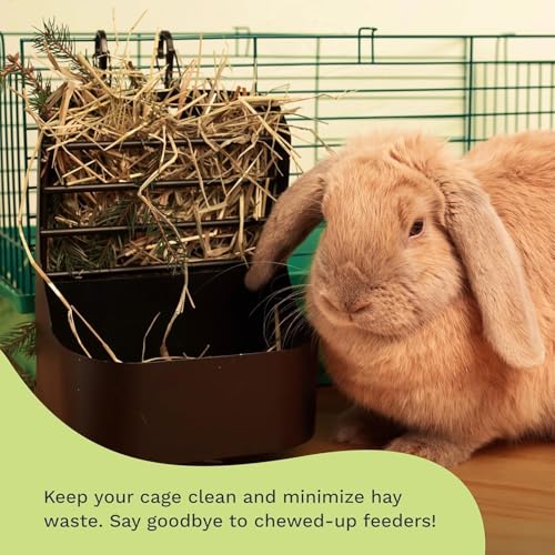 Hay and Food Feeder for Rabbit, Guinea Pig, Bunny, Chinchilla, Heavy Duty Metal Bin 5.5 x 5.5 x 7 inch (Pack of 2) - size: Pack of 2
