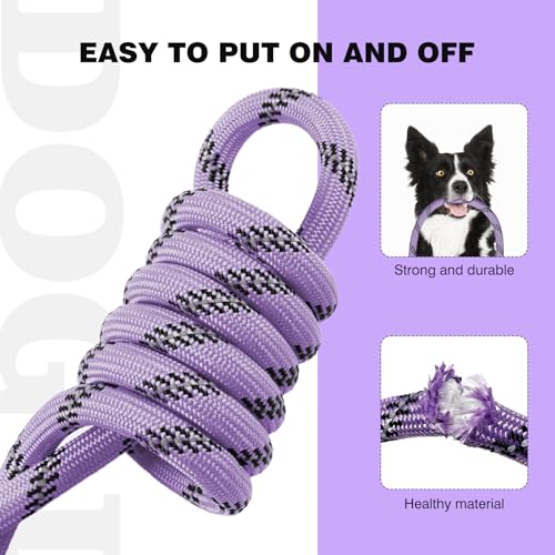 lynxking Dog Leash 3/8in x 6ft Slip Lead Reflective Pink and Purple, 2 Pack