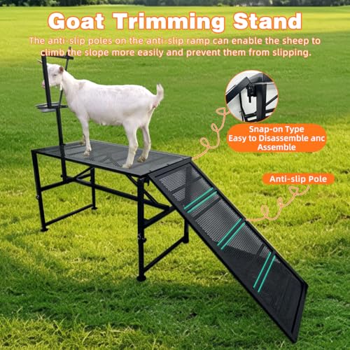 Adjustable Metal Goat Milking Stand，600LBS with Ramp & Feed Bin