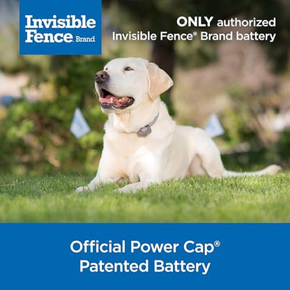 Invisible Fence Brand Power Cap Battery, 1-Pack - style: 1 Pack