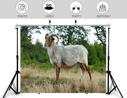 6x4ft Fabric Horned Wool Sheep Backdrop Thick White Fur Dry Grass Green Leaf Woodland Photography Background Tapestry Party Farm Animal Decorations Photo Booth Props - size: 6x4ft