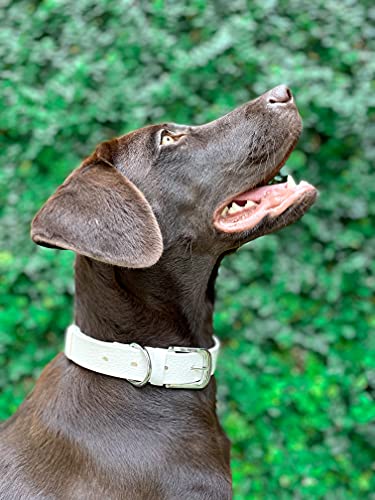 Tuff Pupper Heavy Duty Waterproof Dog Collar for Small, Medium & Large Dogs - color: Snow White