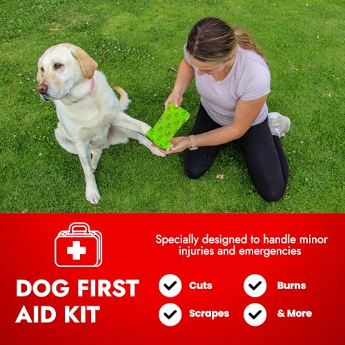 Cat & Dog First Aid Kit with Thermometer & Bandages (Medium) - size: Medium