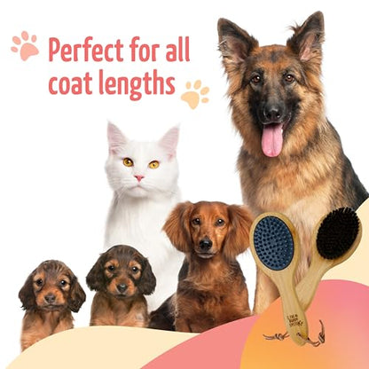 The Buddy System - Combo Bristle Pet Brush, 2-in-1 Brush