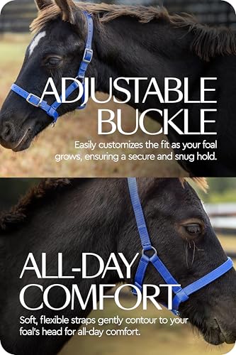 HORZE Adjustable Mini Horse Halter, Nylon Design for Foals, Colts, Fillies - color: Blue