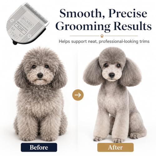 5 in 1 Replacement Blade Compatible with WAHL Bravura Chromado Creativa - color: 2 Pack Silver