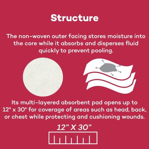 Dealmed Multi-Trauma Dressing - 12" x 30" Sterile Emergency Pad - 10 Count - size: Pack of 10, style: 12" x 30"