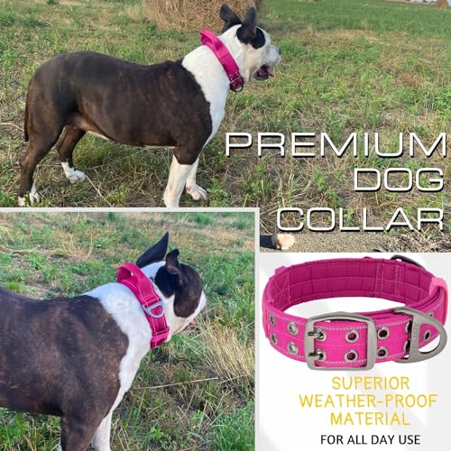 ADITYNA Heavy Duty Magenta Dog Collar for Medium Dogs with Traffic Handle - color: Magenta, size: Medium: Fit 15-19" Neck
