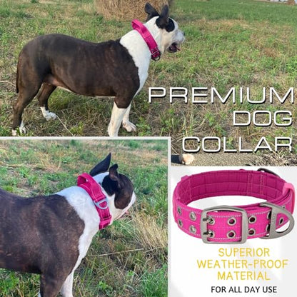 ADITYNA Heavy Duty Magenta Dog Collar for Medium Dogs with Traffic Handle - color: Magenta, size: Medium: Fit 15-19" Neck