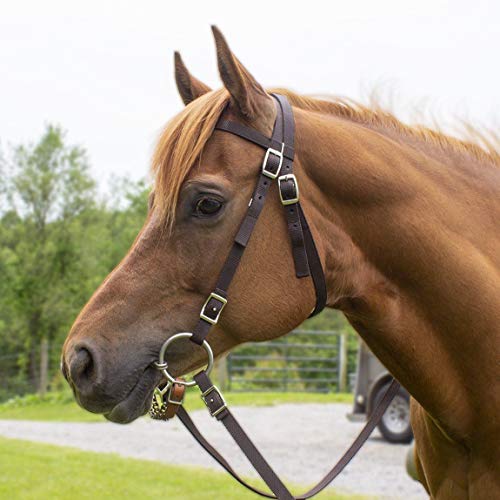 Derby Originals Tahoe Tack Plain Double Layer Nylon Padded Western Horse Headstall with Reins