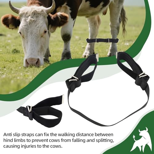 Cow Hobble Milking Restraint Adjustable Anti-Kick Cattle Hoof Binding Strap - color: BLACK