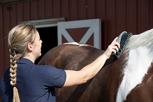 Oster Equine Care Series Horse Grooming Brush, Stiff Bristle, Pink (0-34264-41960-5) - color: Pink, size: unisex