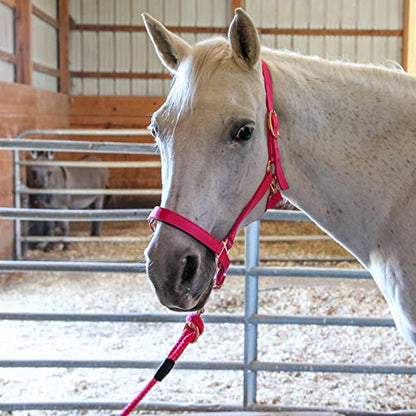 Majestic Ally Halter with Lead Rope for Horses–Adjustable Chin and Crown–Rolled Throat Latch with Replaceable Snap–Padded Noseband–Heavy Duty Rose Gold Finish Hardware - color: Hunter Green