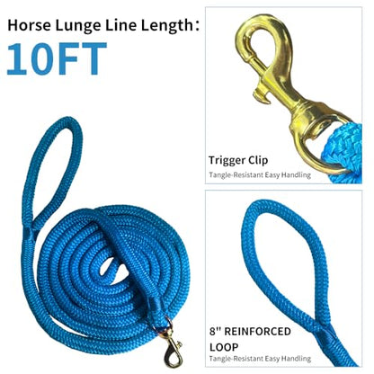 Double Braided Nylon Horse Lead Rope with Snap Hook, Black, 10 FT, Durable Light Weight (Blue, 10FT) - color: Blue, size: 10FT