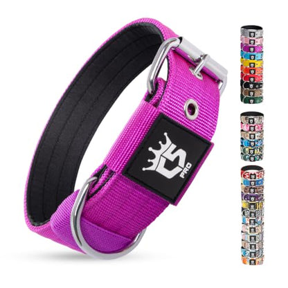 TSPRO Heavy Duty Thick Dog Collar with Metal Buckle for Small Dogs - color: Basic Purple, size: S – Fits Neck 12.6"-15.8"