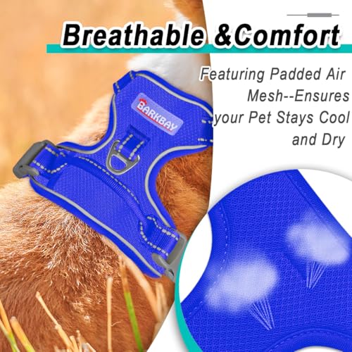 BARKBAY Dog Harness for Small Sized Dog No Pull Mesh 2 Clips Dog Vest - color: Sapphire Blue-Mesh, size: X-Small