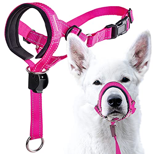 GoodBoy Dog Head Halter with Safety Strap - Stops Heavy Pulling On The Leash - Padded Headcollar for Small Medium and Large Dog Sizes - Head Collar Training Guide Included (Size 2, Pink Nylon) - color: Pink Nylon / Black Padding, size: Size 2 (Pack of 1)