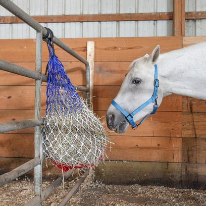 Majestic Ally Pack of 2 Adjustable Halter for Horses–Adjustable Chin and Crown– Sewn-in Throat Snap Hook- Heavy Duty Rose Gold or Black Nickel Finish Hardware–Full - color: Red