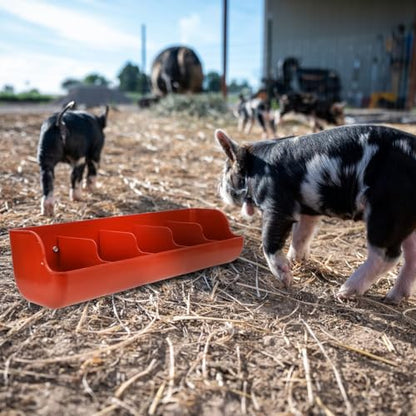 POPETPOP 5-Compartment Piglet Feed Trough Plastic Pig Feeder Manger 21.25X7.08X5.11 Inch Easy to Clean Livestock Feeding Tool for Farm Use - color: 1PC