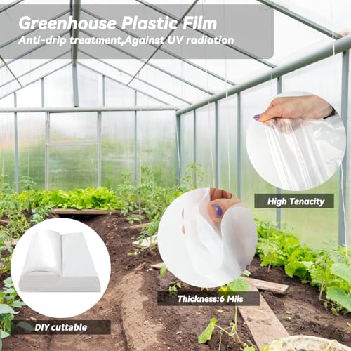 Greenhouse Plastic Sheeting 6.5' x 19.7' 6 Mil, Clear UV Resistant Heavy Duty Polyethylene Film, Thick Greenhouse Cover for Garden, Farm, Agriculture - size: 6.5x19.7 FT