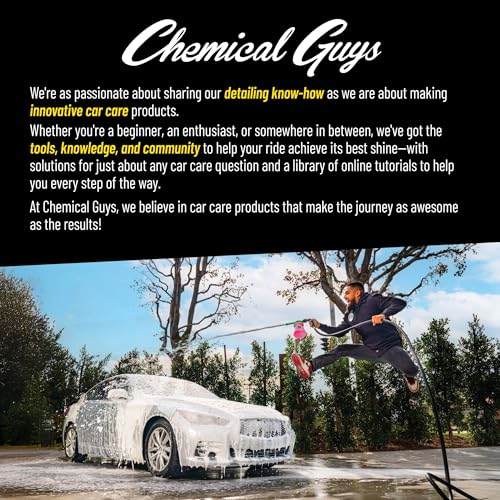 Chemical Guys, Induro 7 Heavy Duty Car Carpet & Upholstery Detailing Brush - size: 1 Pack