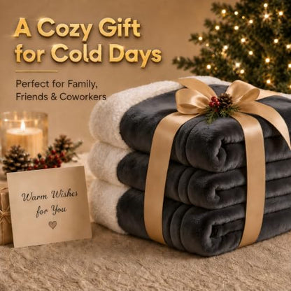 Heated Blanket Electric Throw Size 50''x60'' with 9 Heating Levels, 1-10 Hour Auto Shut Off, Machine Washable, Flannel & Sherpa Double-Sided Soft Warming Blanket for Couch, Bed, Office - Dark Grey - color: 02-dark Grey, size: 50''x60''(Throw)