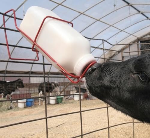FarmTek Livestock Nursing Bottle – 2-Quart, Easy-Clean Wide Mouth