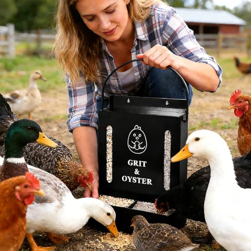 Oyster Shell and Grit Feeder Combo, Metal Chicken Feeder with Viewing Window/Lid, Hanging Gravity Chicken Grit Feeder, Coop Accessories for Healthier Hens and Eggs (Black) - color: Black