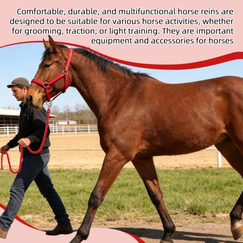 Adjustable Nylon Horse Halter & Matching Lead Set for Horses - color: RED