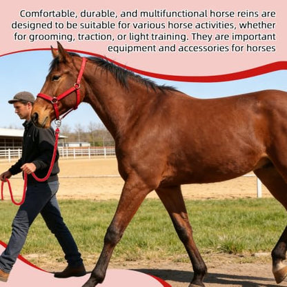 Adjustable Nylon Horse Halter & Matching Lead Set for Horses - color: RED