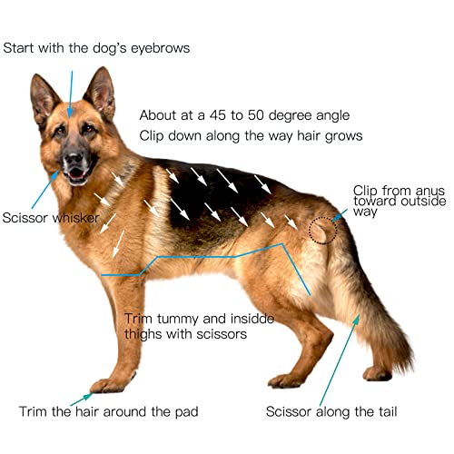 Dogs Hair Trimmer, Dogs Shaver Clippers Grooming Kit - Low Noise Cordless Rechargeable Dog & Cat Horses Clippers, Heavy Duty, Quie