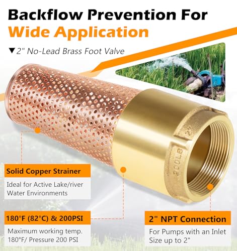 2 Inch Foot Valve for Irrigation Pump, One-Way With ZEBRA MUSSEL Strainer | No-Lead Brass Foot Valve