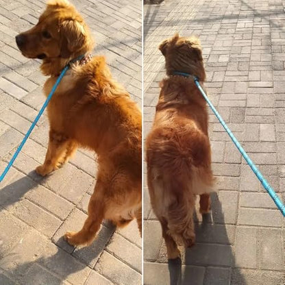 20FT Long Slip Lead Dog Training Leash 3/8" Thick Nylon Rope Leash | Reflective Anti-Choking Slip Leash with Comfortable Handle, Quick Control Medium Large Dogs No Pull (20ftx3/8", Blue) - color: Blue, size: 3/8in x 20ft