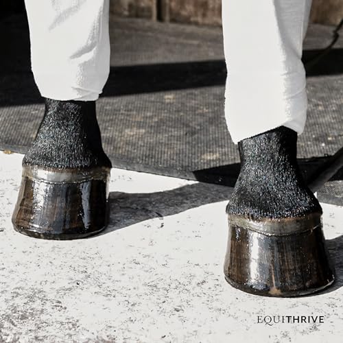 Equithrive Horse Hoof Supplement Pellets with Biotin, Chelated Trace Minerals, Selenium, Methionine, and Omega 3, Equine Hoof Care, 10 lbs - size: 160 Fl Oz (Pack of 1)