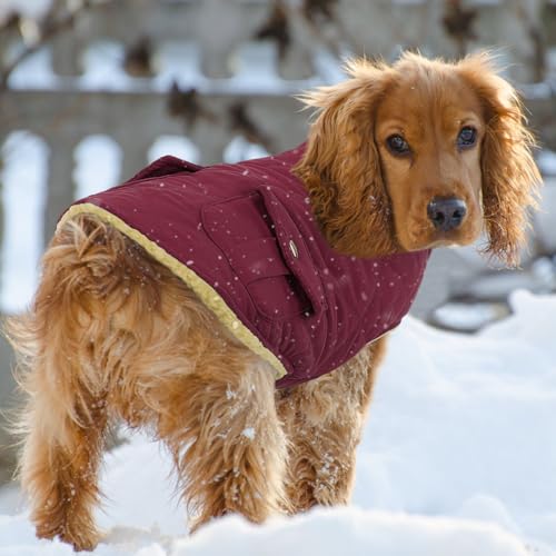 Queenmore Waterproof Small Dog Winter Coat Plush Lining Warm Puffer Jacket - color: Burgundy, size: Small