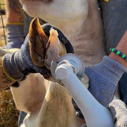 Sheep Hoof Trimmers Kit, Basic 110V Electric Set with Supplies