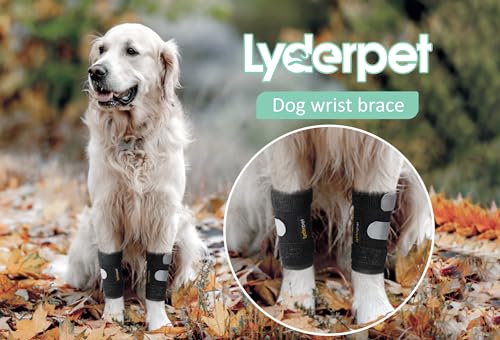 Dog Leg Brace Front Wrist or Carpal Support for Canine Dogs, Brace Compression Wraps with Metal Splints, Prevents Ankle Injuries&Sprains, Helps with Loss of Stability Caused by Arthritis - size: S/M (Pair)