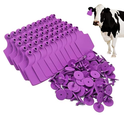 4.1" L×3.5" W Cattle Ear Tags Big Blank 100PCS Livestock Identification TPU - color: 1-purple