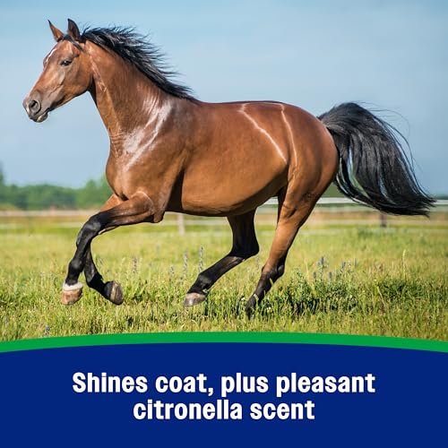 Farnam Wipe II Horse Fly Spray with Citronella, 32 oz Spray - size: 32 Fl Oz (Pack of 1)