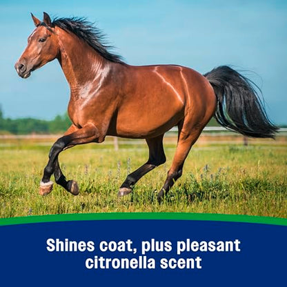 Farnam Wipe II Horse Fly Spray with Citronella, 32 oz Spray - size: 32 Fl Oz (Pack of 1)