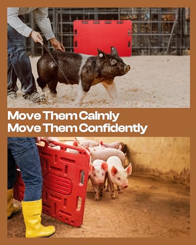 Pig Sorting Board Set – Large 47" + Small 29" Livestock Sorting Panels
